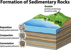 formación de rocas sedimentarias vector