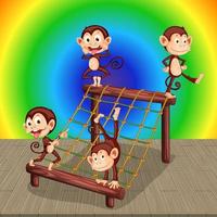 Monkeys with climbing net on rainbow gradient background vector