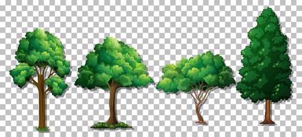 Set of various trees vector