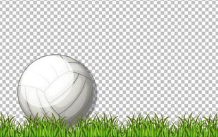 White volleyball ball and grass vector