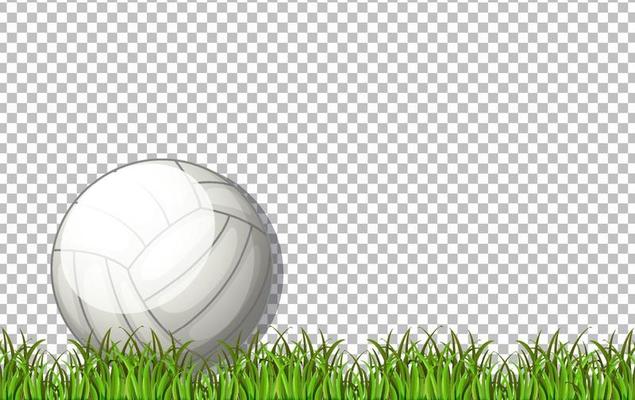 White volleyball ball and grass