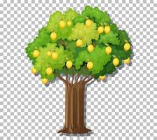 Lemon tree isolated vector