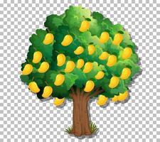 árbol de mango aislado vector