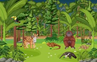 Forest scene with different wild animals vector