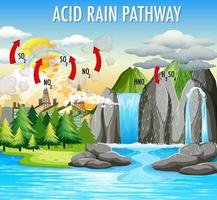 Diagram showing acid rain pathway vector