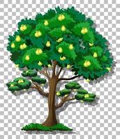 Pear tree isolated vector