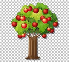 Apple tree isolated vector