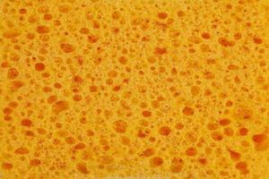 Orange sponge foam photo