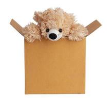 Teddy bear peeking out of a box photo