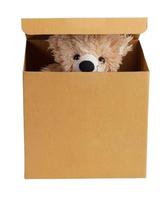 Teddy bear in a cardboard box photo