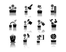 conjunto de iconos de glifo negro de sombra de gota de cuidado de plantas de interior vector
