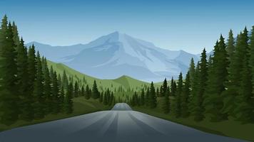 Road In Pine Forest With Mountain vector