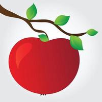 manzana en una rama - ilustración vectorial simple vector