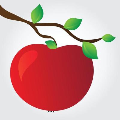 apple on a branch - simple vector illustration