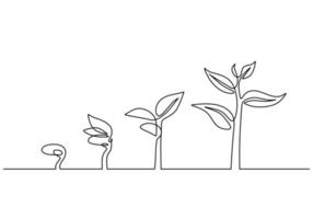 Continuous line drawing of step of tree growth vector