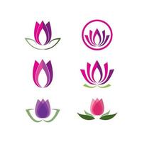 Lotus flowers illustration vector