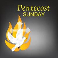 Pentecost Sunday Holy spirit dove. vector