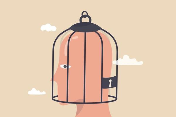 Fixed mindset, negative emotion refuse to learn anything new, fearful