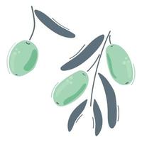 Olives with leaves in modern blue color. Flat illustration.