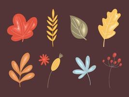 Autumn floral set, leaves, plants and berries vector