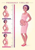 Mujer embarazada con ilustración de vector de línea de tiempo de embarazo de feto