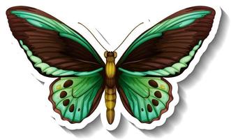 A sticker template with butterfly or moth isolated vector