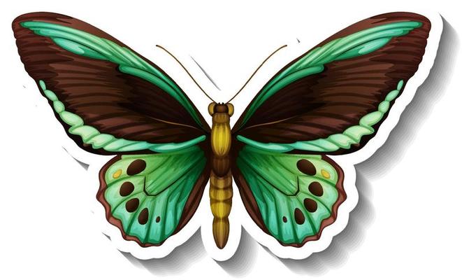 A sticker template with butterfly or moth isolated