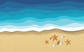 Sea water waves on beach with seashells and starfish vector