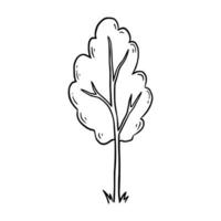 Hand drawn tree. Doodle sketch vector