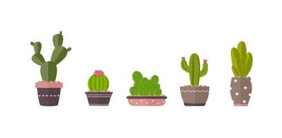 Home plants cactus in pots and with flowers. Cactus icons vector