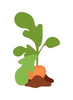 Sweet potato plant semi flat color vector object