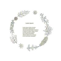 Colorful illustration of floral and herb wreath. Hand draw frame vector