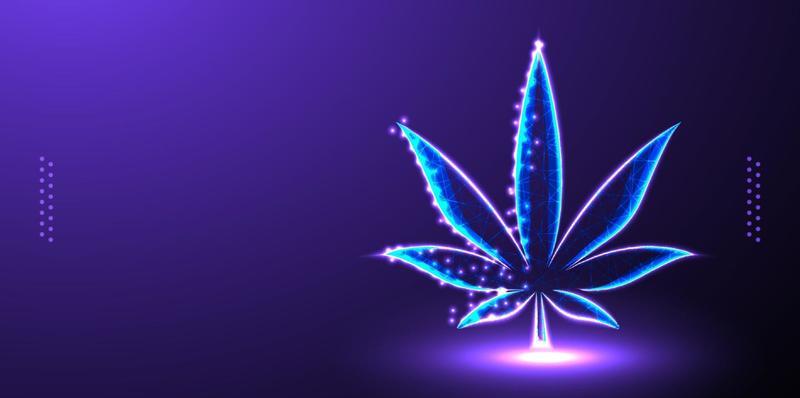 cannabis low poly wireframe mesh