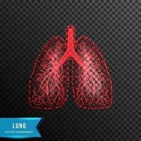 Lung Low poly wireframe
