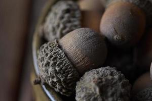 Close-up of brown acorns on a plate