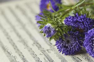Close-up of blue flowers and music notes