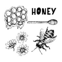 Vector honey set. Vintage hand drawn illustration