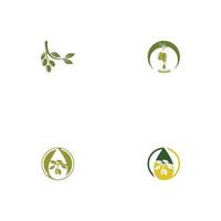 olive icon vector illustration