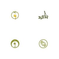 olive icon vector illustration