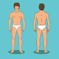 Man standing, front and back view vector