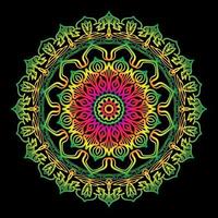 Circular pattern in the form of mandala with flower vector