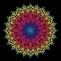 Circular pattern in the form of mandala with flower vector