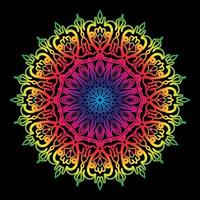 Circular pattern in the form of mandala with flower vector