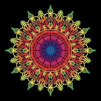 Circular pattern in the form of mandala with flower vector