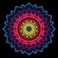 Circular pattern in the form of mandala with flower vector