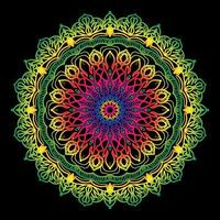 Circular pattern in the form of mandala with flower vector