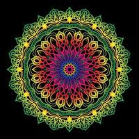 Circular pattern in the form of mandala with flower vector