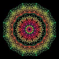 Circular pattern in the form of mandala with flower vector