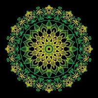 Circular pattern in the form of mandala with flower vector