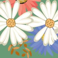 Spring theme Beautiful flower background with color vector